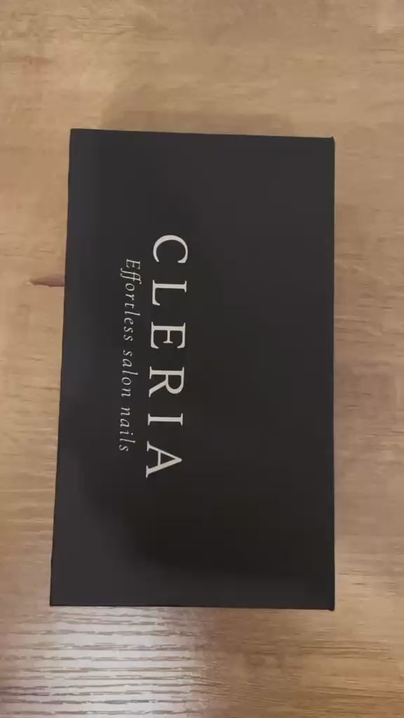 CLERIA presentation video