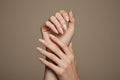 Soft Pink Nude | CLERIA Premium Press-On Nails